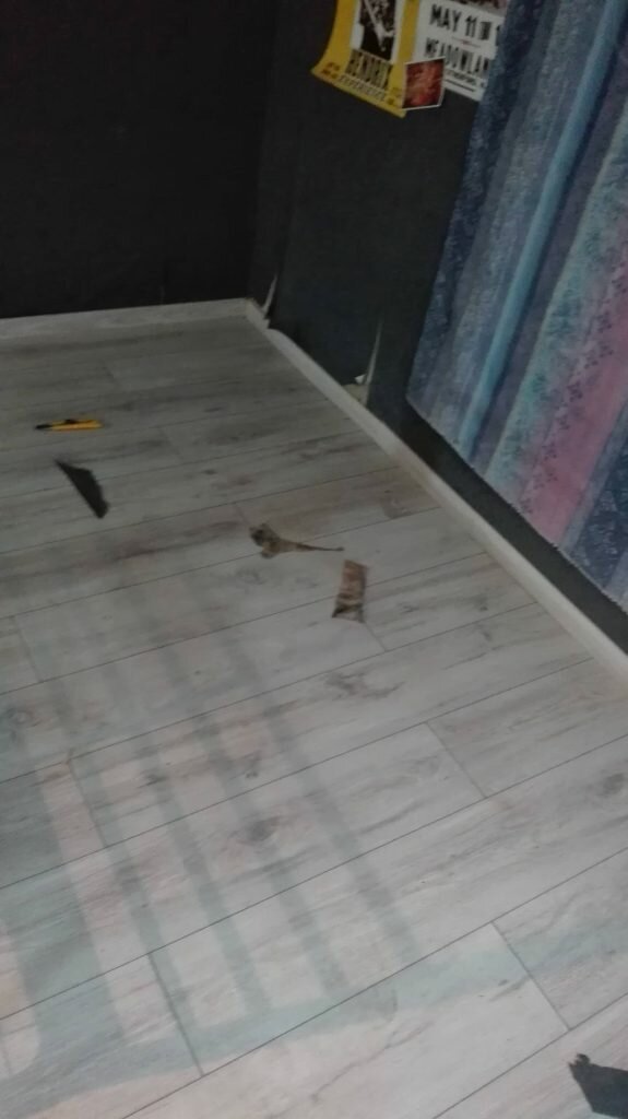 chantier-nos-réalisations-menuiserie-JTB-seine-et-marne-parquet-77