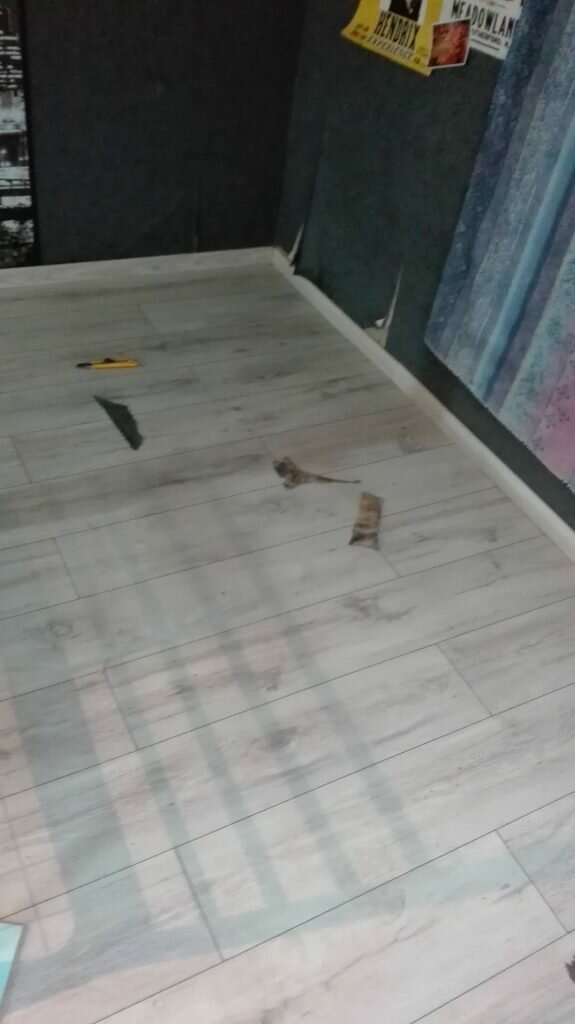 chantier-nos-réalisations-menuiserie-JTB-seine-et-marne-parquet-77